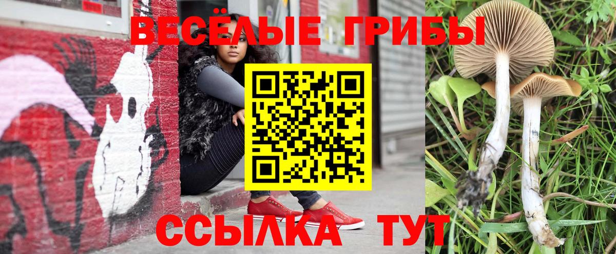Галлюциногенные грибы ЛСД Казань