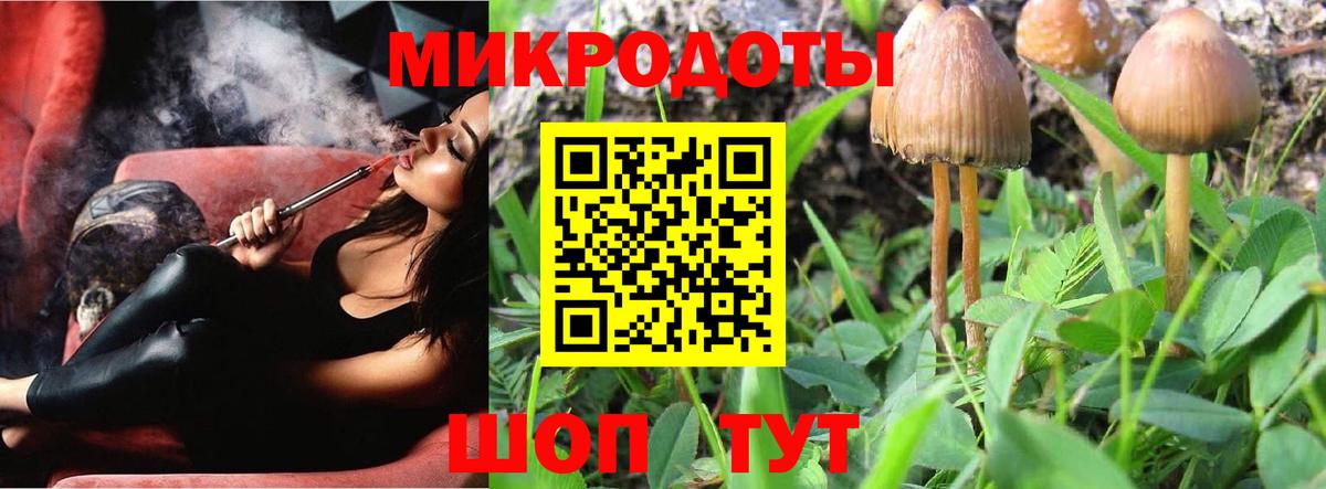 Казань  Псилоцибиновые грибы Psilocybe  Вход с VPN  Псилоцибиновые грибы MAGIC MUSHROOMS 