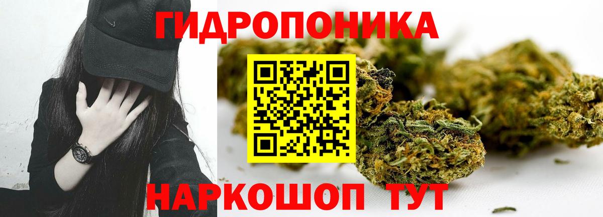 Бошки Шишки тримм  Вход с VPN  Конопля MAZAR  Казань 